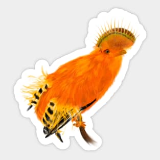 Cock-of-the-rock + Venus Fly Trap Sticker